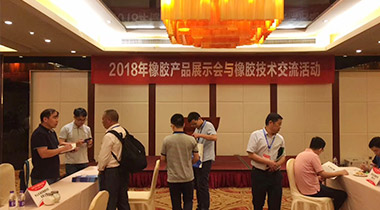 第十届中国橡胶技术网硅橡胶行业胶友技术交流会
